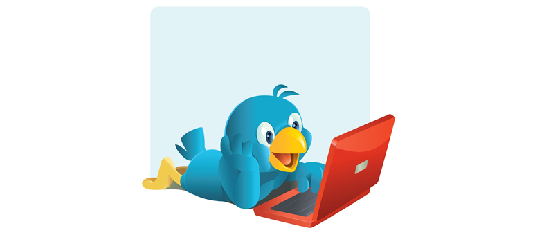 bio-en-twitter-que-atraiga-followers-enrique-cintado